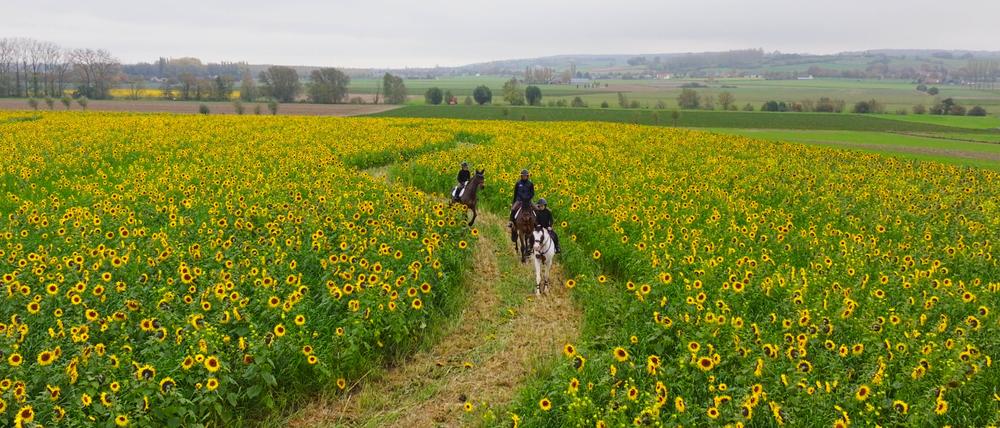 Kentucky Inspiration